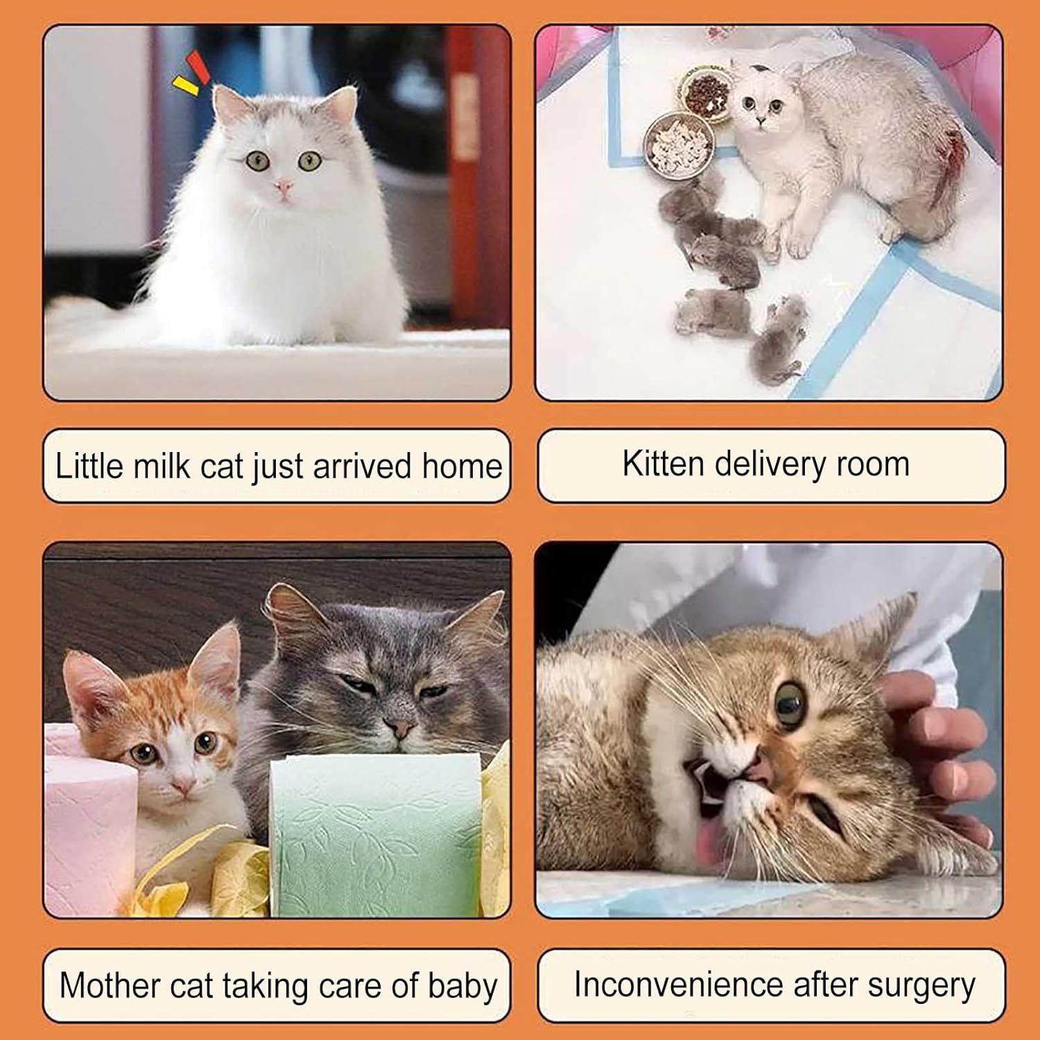 Cat Cage Playpen - Cat Cages Indoor Cat Enclosure Detachable Metal DIY Cat Cages Kennels Cat Crate Cat Condo Dog Crates for Small Dogs Portable Yard Fence - for Small ANI,75X39X47CM