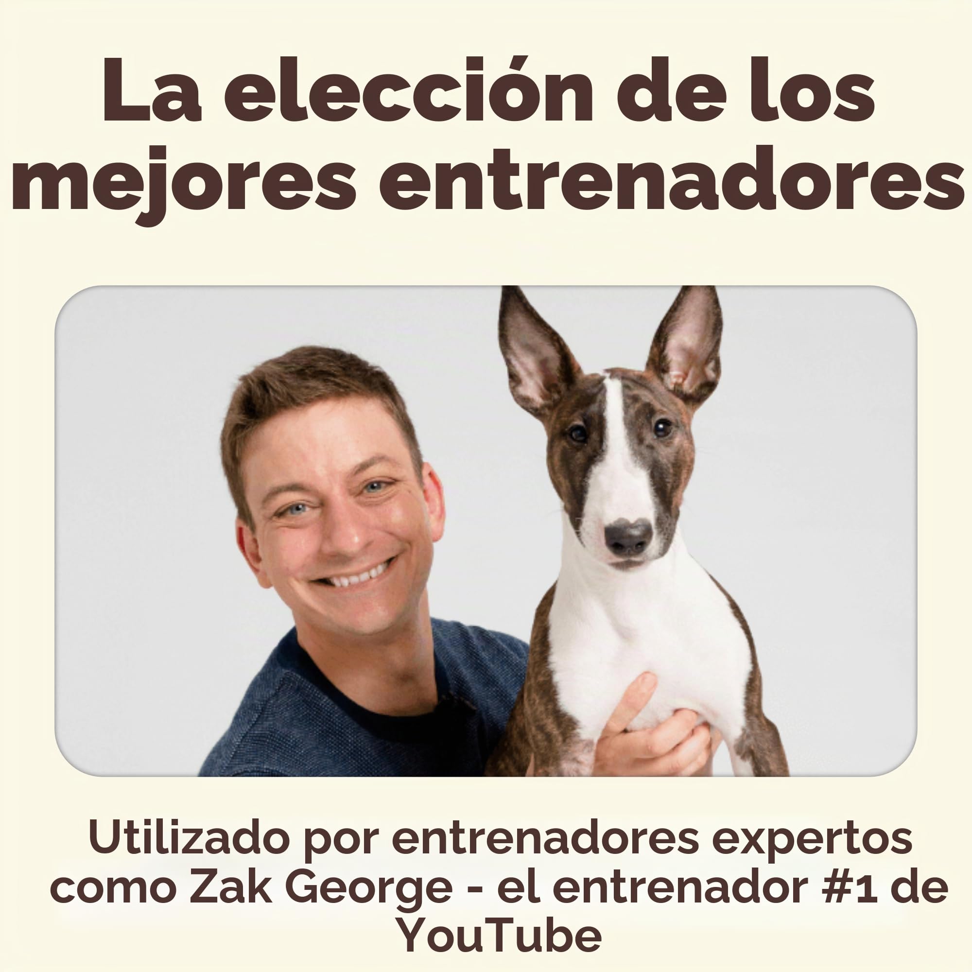 Pupford Golosinas de Entrenamiento liofilizadas de 450 golosinas por Bolsa, Baja en calorías, la recompensa Entrenamiento de Alto Valor (Viene en hígado de Res, Patata Dulce y Pollo)