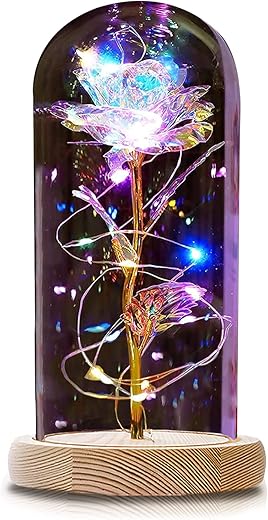 QUNPON Cadeau Fete Des Meres, Rose Eternelle Artificielle avec Lumières LED, Rose...