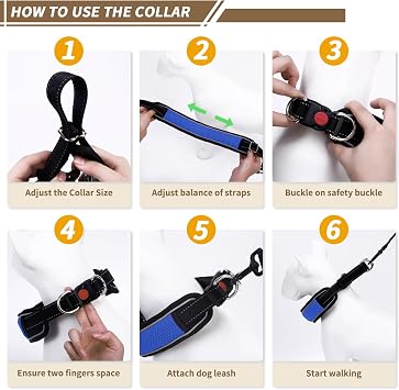 Martingale Collar for Dogs, Reflective No Pull Dog Collar for Large Medium Dogs, Adjustable Anti Pull Dog Collar for Training Walking, Heavy Duty Nylon Slip Collar with Buckle 2 Inch Wide L Blue