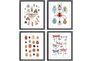 LNLAGBO Insect Art Prints for Kids