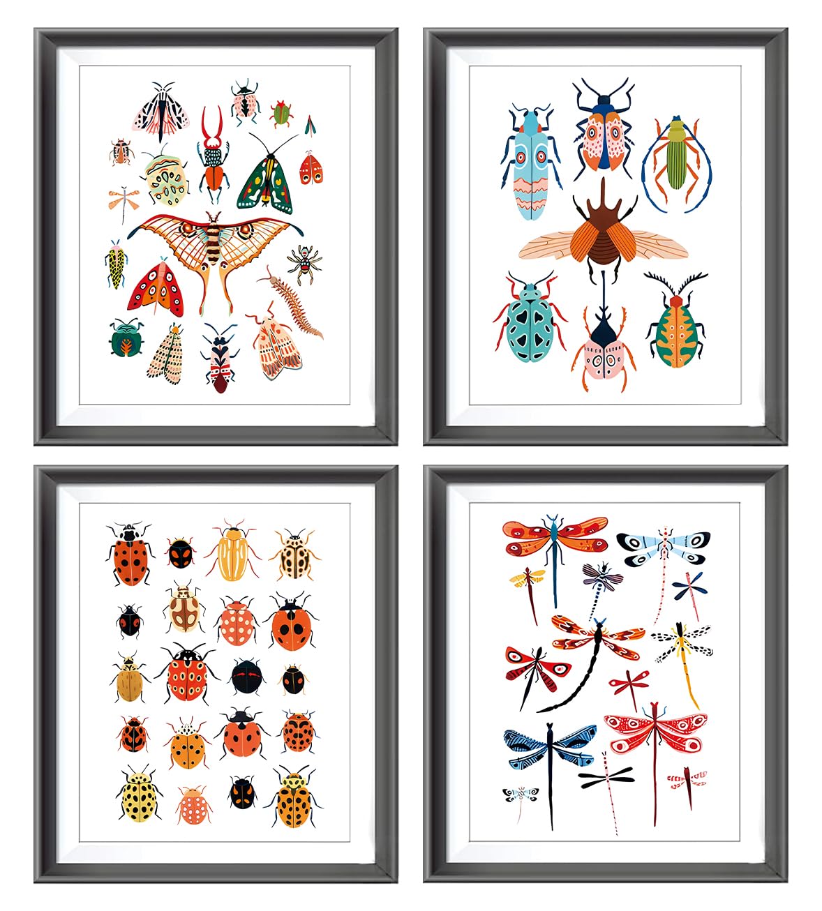 Butterfly Posters,Insect Educational Images Canvas Poster, Butterfly,ladybug ,Beatles Dragonfly Educational Science Chart Poster for Children's Room,Primary and secondary schools classrooms Decor,Set