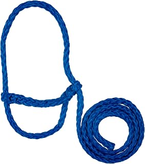 Expression Goat Rope Goat Rope Slang: A Hilarious Southern Expression | PetShun