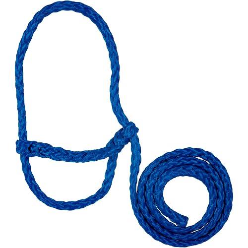 Weaver Livestock Poly Rope Sheep Halter, Modern Style Braid Sheep and Goat Rope Halter, Adjustable Lamb Halter Lead, Livestock Sheep Showing Supplies