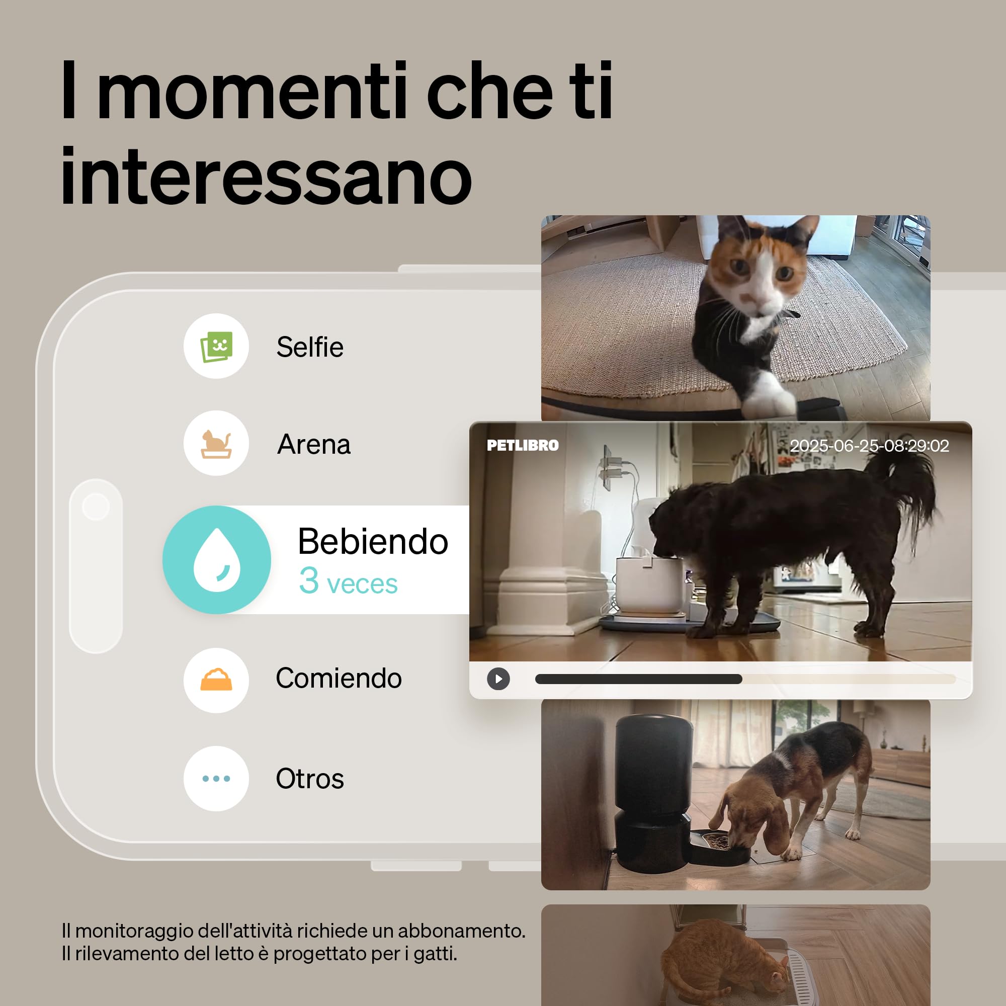 PETLIBRO Telecamera per animali domestici con app, telecamera per cani HD a 360°, controllata dall'intelligenza artificiale, per interni per il riconoscimento multi-animale, monitoraggio dell'attività