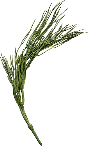 Miniatura 3 de Ebros Gift Paquete de 6 plantas suculentas largas y realistas con tallos de hojas suaves y realistas de 26 pulgadas de largo, plantas suculentas