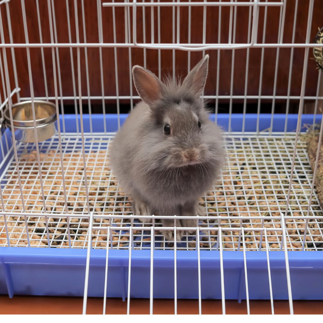 SPOT Coop Cup Bolt Clamp - Stainless Steel Hanging Bowl for Crates, Removable, Chew-Proof Pet Feeding Dish, Ideal for Birds, Parrots, Rabbits, Ferrets, Reptiles, 1.25 Cups (10 Oz) - image 6