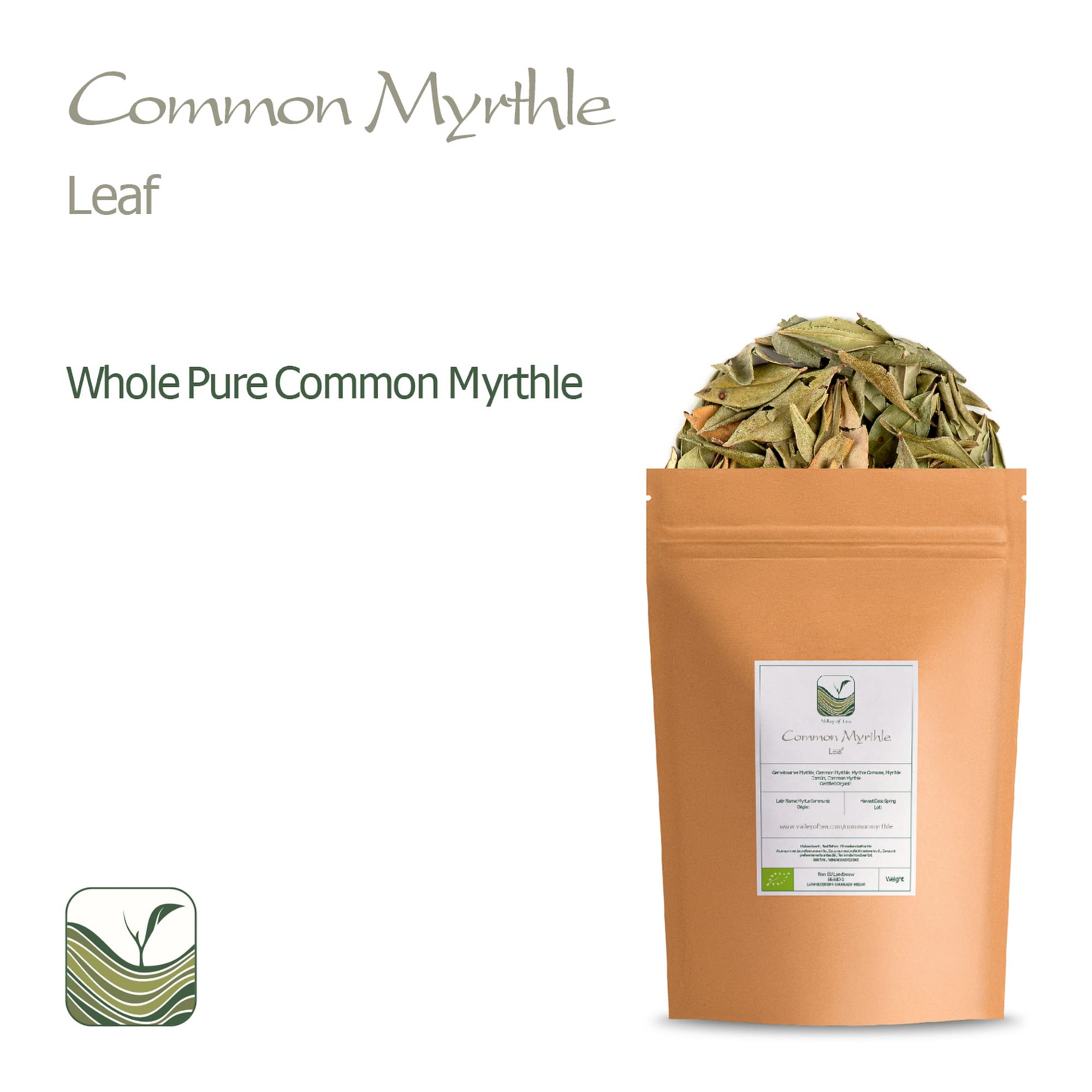 Myrthle Secó Hoja Hierbas - Hojas Sueltas De Myrthle Común