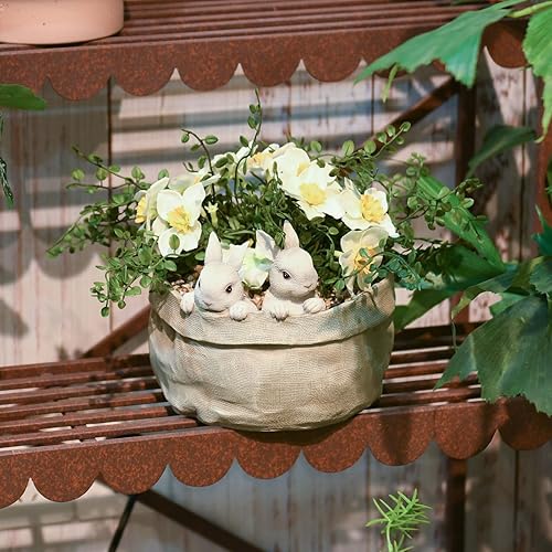 Miniatura 6 de Macetas decorativas de plantas suculentas - Recipiente de macetas 7.5 x 7.4 x 6.1 pulgadas (largo/ancho/alto), Newman House Studio