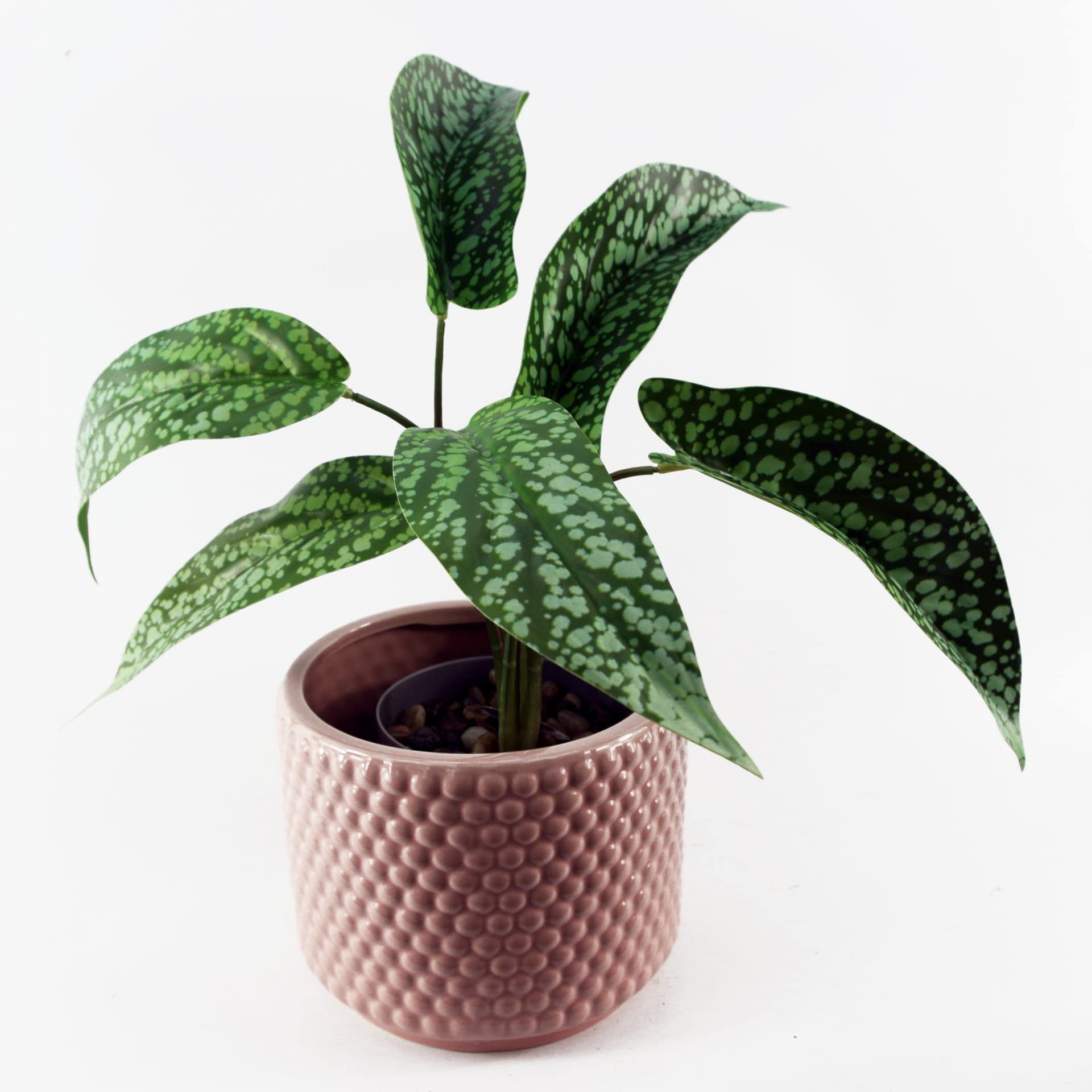 Leaf Design UK Realistic Artificial Foliage Plant with Pot, 35cm, Spotted Plant Planter, 35 cm - Image 6