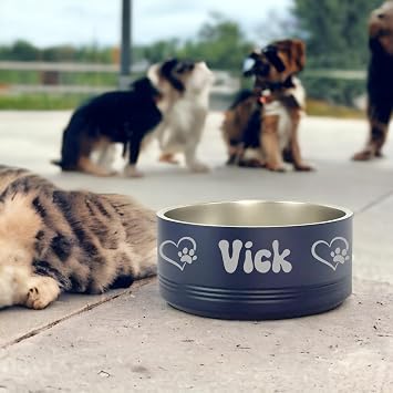 Customized Stainless Steel Dog Bowls, Laser Engraved Designs on Double Wall, Non-Insulated Bowls for Dogs, Cats and Other Pets (32oz, Bayoux)