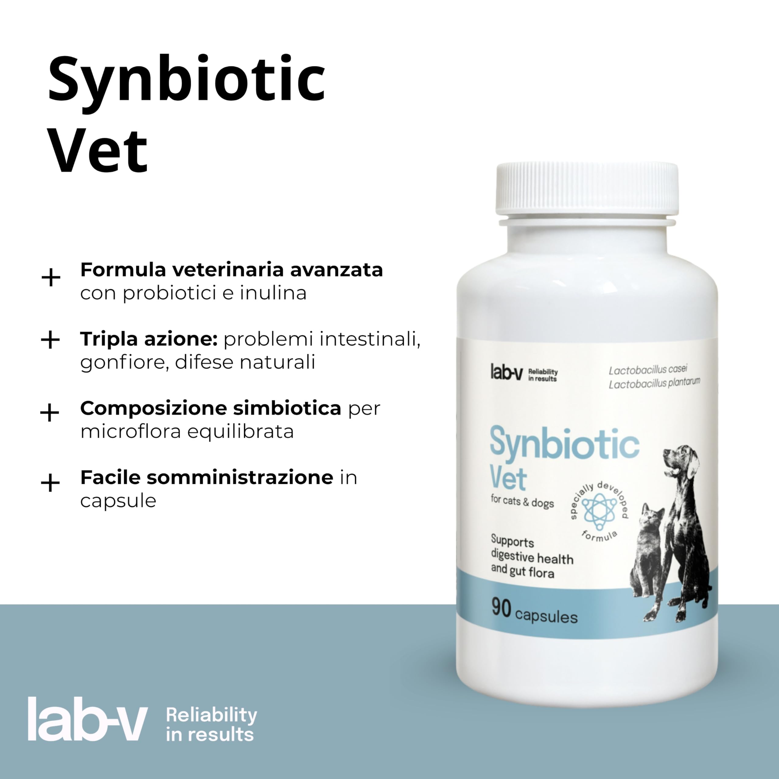 Lab-V Synbiotic Vet Probiotiques pour chiens et chats, 90 gélules probiotiques digestives pour chiens et chats avec prébiotiques, suppléments pour chien et chat, ferments lactiques, intestin santé