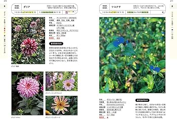 決定版! 花事典800 | 宇田川 佳子 |本 | 通販 | Amazon