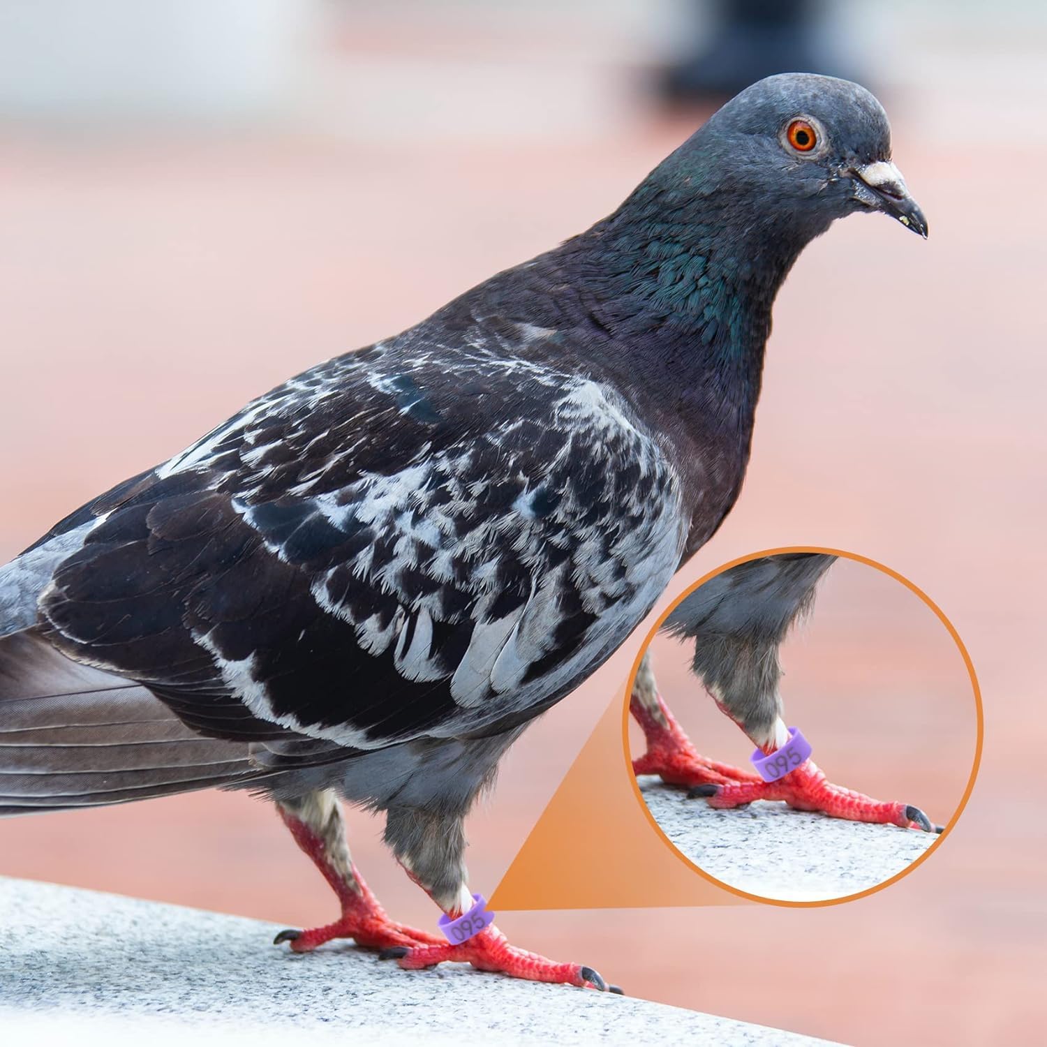 10mm 001-100/001-200/001-300/001-400/001-500 Number Plastic Bird