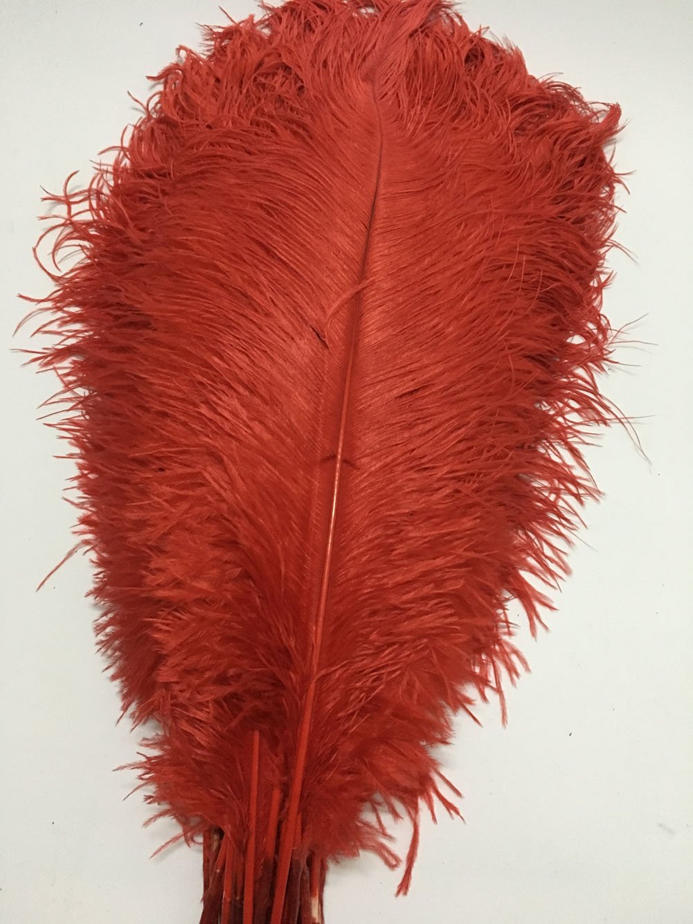 AMIZOB Pack of 15pcs Natural Bleached Dyed Ostrich Feathers 17.7~19.7inch Plumes Wedding Centerpieces Home Decoration (red)