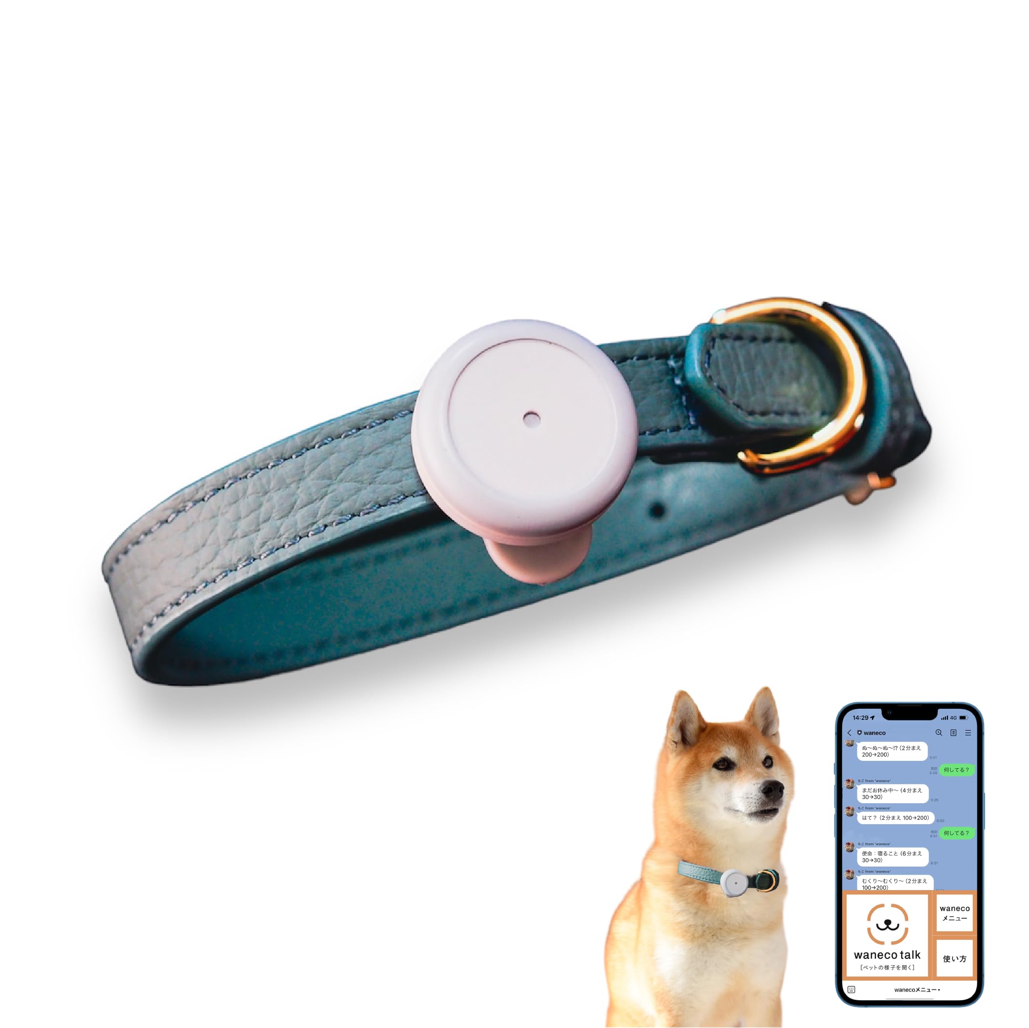 Amazon.co.jp: wanecotalk（ワネコトーク）｜ペットとLINEで会話できる
