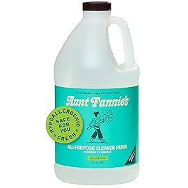 Aunt Fannie\'s All Purpose Household Cleaner, Multi-surface Spray, Powered by Vinegar for Kitchen, Bath, Windows and Countertops, Eucalyptus Scent (Refill)