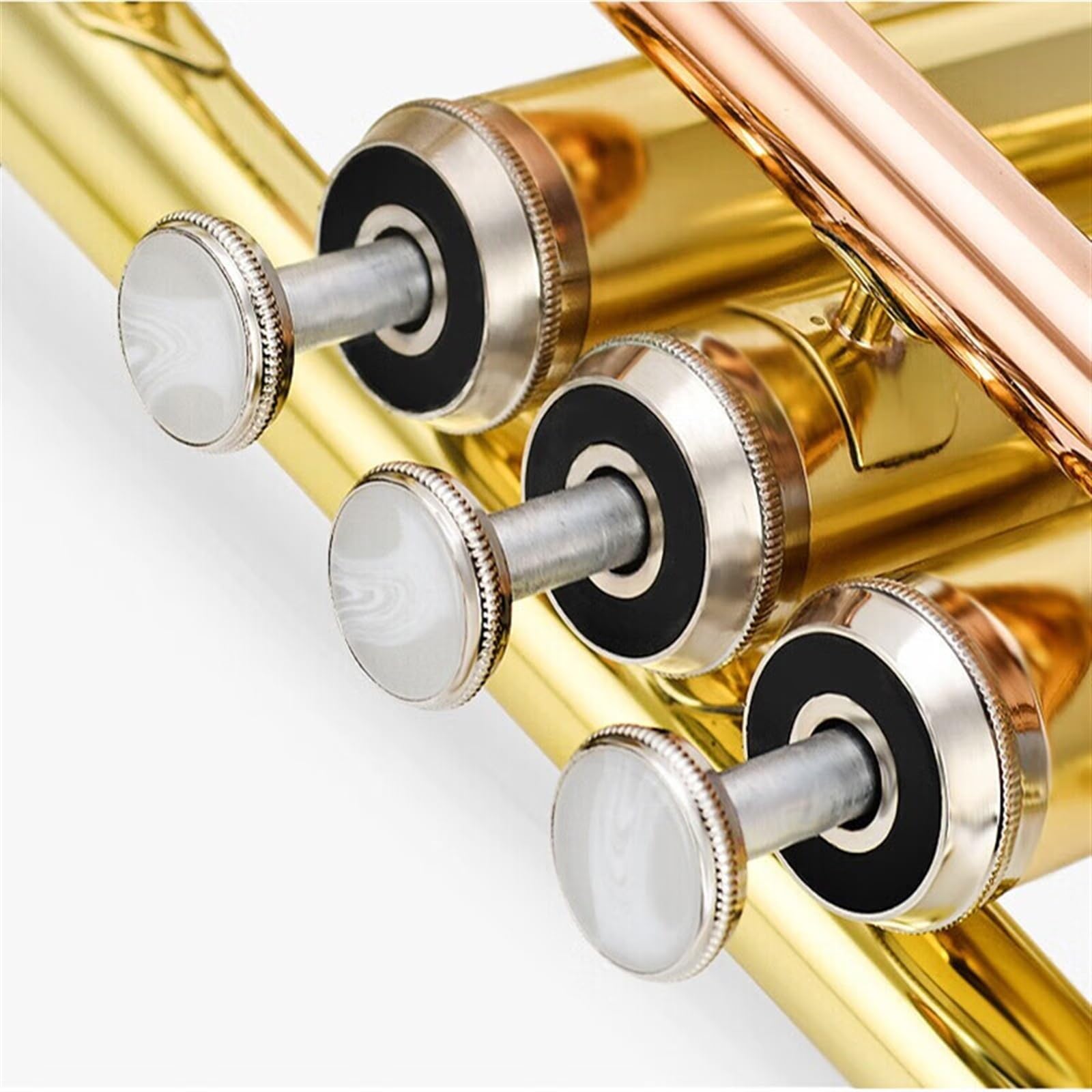 Standard Trompeten B-Trompete Instrument Aus Messing Phosphorbronze Blasinstrument Professionelle Trompete Aus Edelstahl Satter Ton