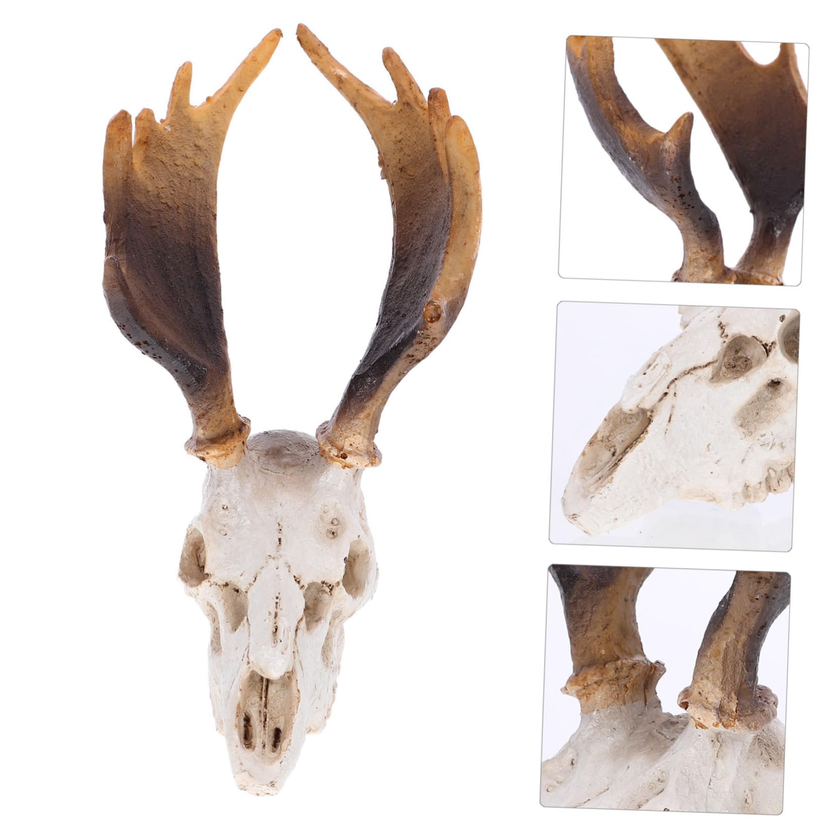 VANZACK 3pezzi Caverna Decorativa Per Rettili Con Design Testa Di Rifugio Per Piccoli Rettili Accessorio Per Terrari e Acquari Atmosfera Artistica Unica