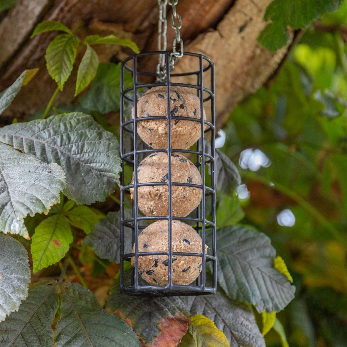 VOSS.garden 100 Stück Premium Meisenknödel, 10kg ohne Netz, Vogelfutter Futterknödel Knödel Wildvogelfutter Ganzjahresknödel Fettfutter, Wildvögel Meisen Rotkehlchen Gartenvögel