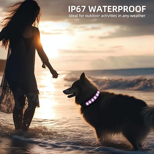 Miniatura 2 de Collar de perro LED AirTag - Collares de perro con luz más brillante - Soporte impermeable IP67 para collar de perro - 1,600 pies de alta