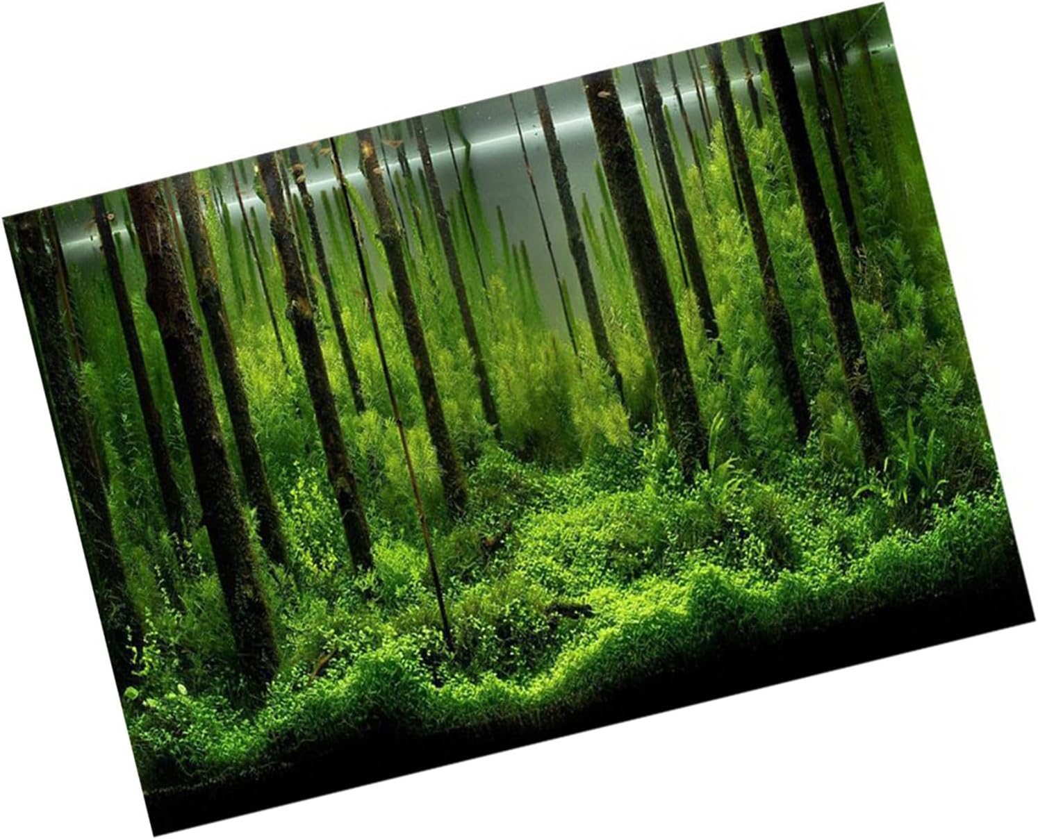 Semme Fish Sticker Background, Fish Poster, Aquarium Background Paper PVC Adhesive Underwater Forest Background Poster Backdrop Decoration Paper (91 * 50cm)