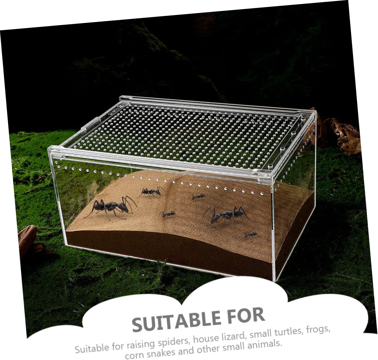 Transparent Reptile Feeding Incubator for Tarantulas and Lizards Durable No Assembly Needed for Pet Care and Breeding