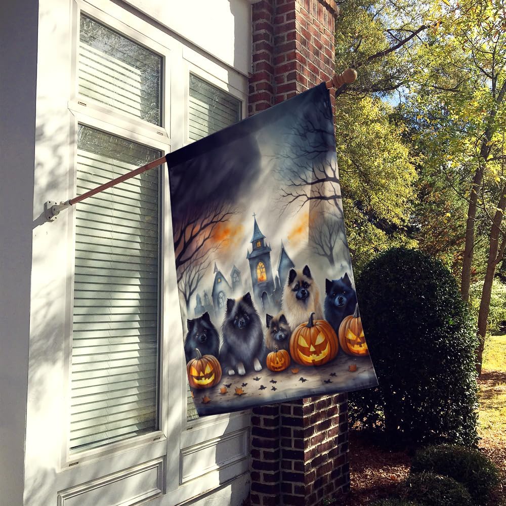 Caroline's Treasures DAC2046CHF Keeshond Spooky Halloween House Flag Large Porch Sleeve Pole Decorative Outside Yard Banner Artwork Wall Hanging, Polyester, House Size, Multicolor