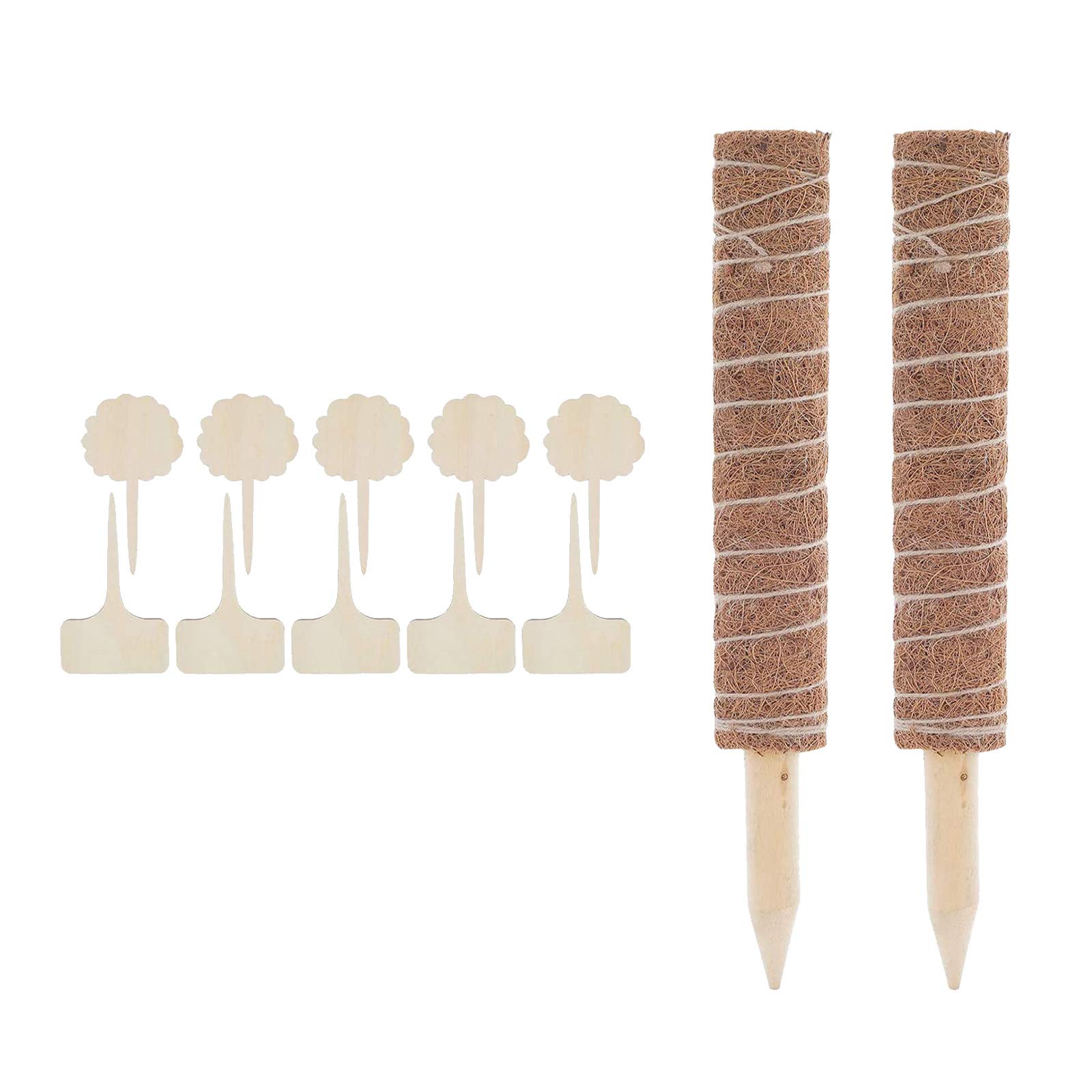MYADDICTION 30/40/50 cm totem cocco cocco totem palo allungabile muschio bastone pianta rampicante 40 cm