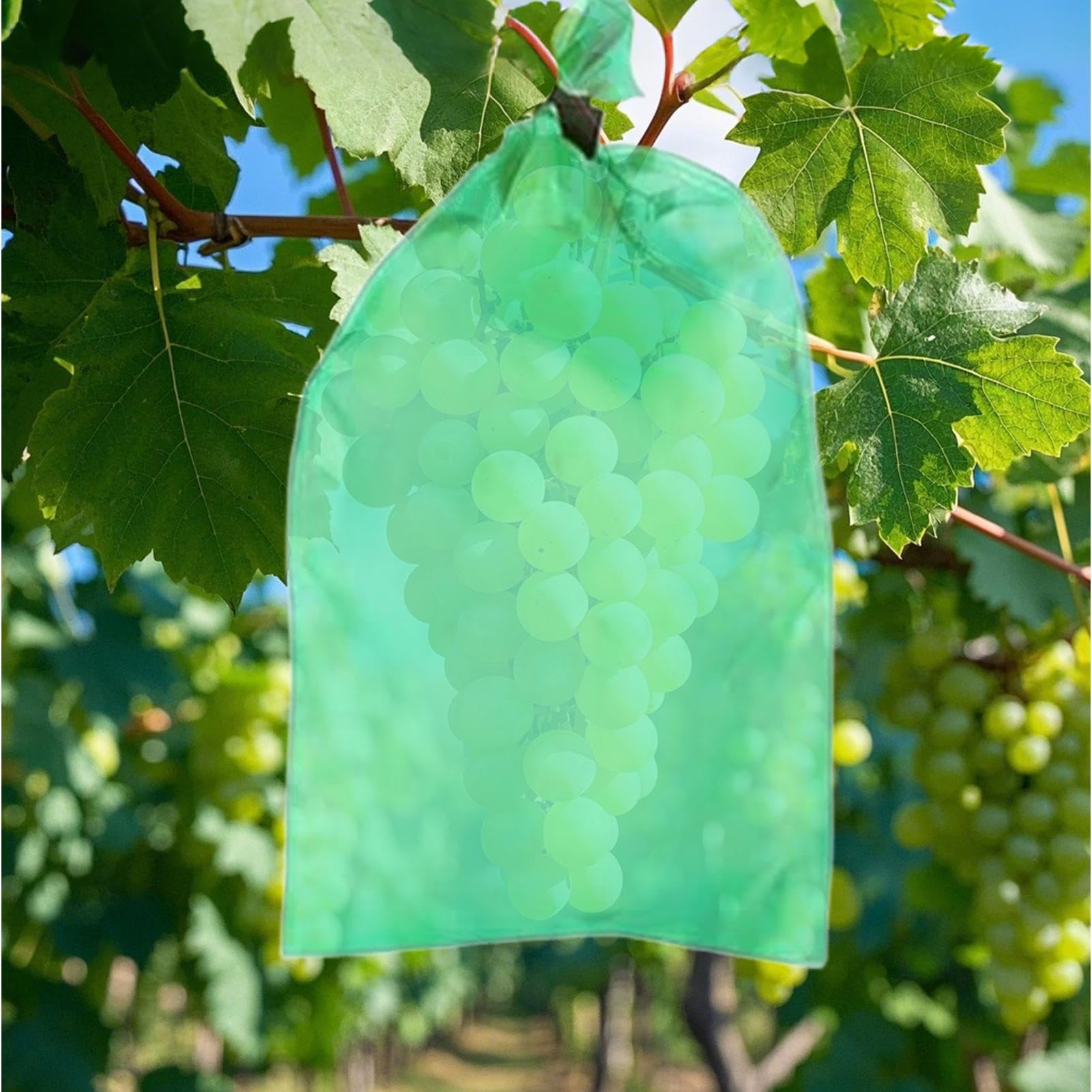 Cuenco de red para árboles frutales, bolsa de uva no tejida con cordón para árboles frutales, barrera de malla para proteger tomates, mangos y verduras