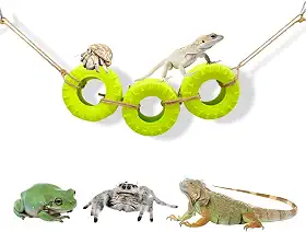 Acessórios de escalada de caranguejo eremita decoração para tanque de répteis balanço de pneu para caranguejo eremita camaleão leopardo lagartixa sapo lagarto pulando aranha