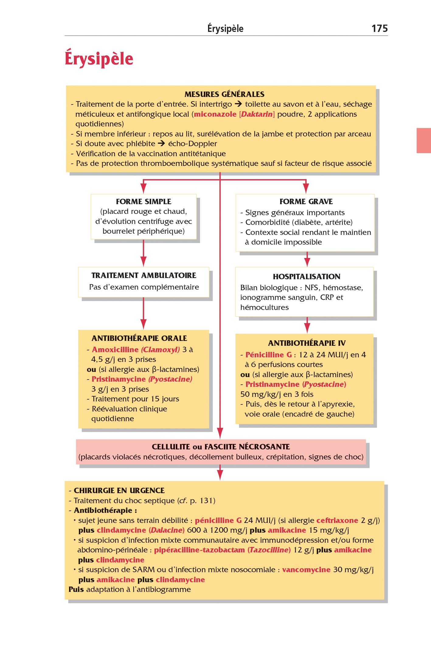 Urgences 2025, 12e éd.: Tri et orientations diagnostiques - Protocoles thérapeutiques - Scores et mémos - Médicaments de l'urgence - Certificats et aspects médicolégaux - Lexique français-anglais