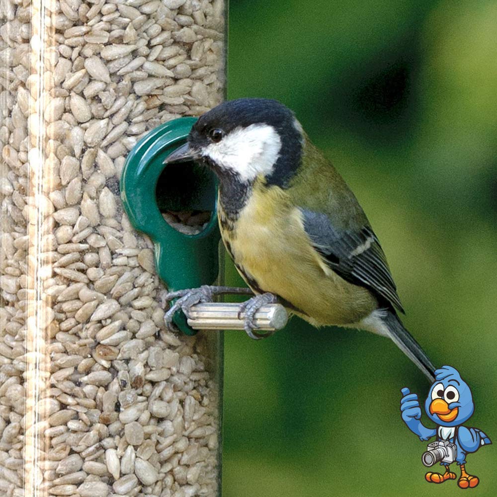 Beschäftigte Schnäbel Sonnenblumenkerne - Körner Vogelfutter Bäckereiqualität für Wildvögel (12.5kg)