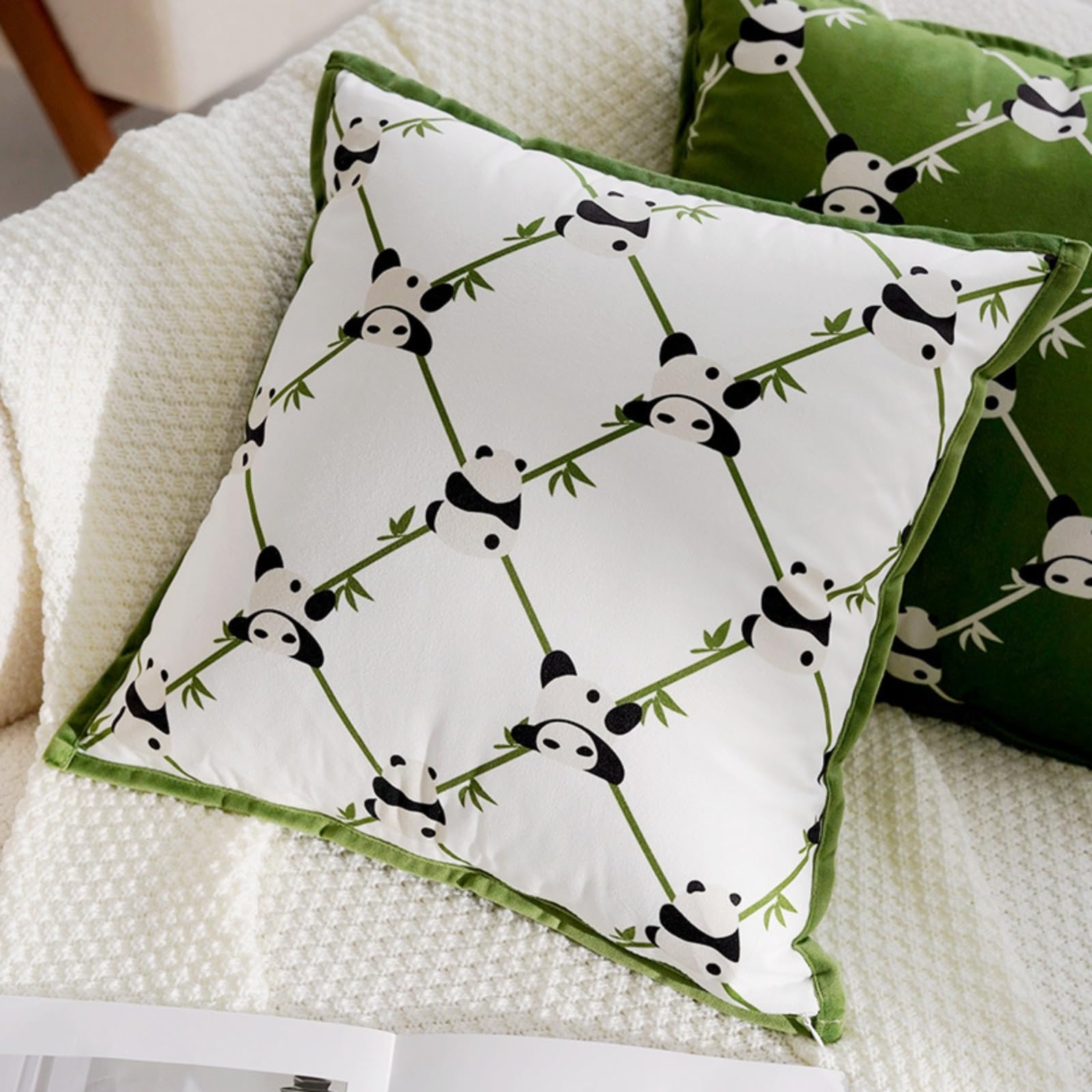 Housse de coussin velours 45x45 cm contre canapé terne
