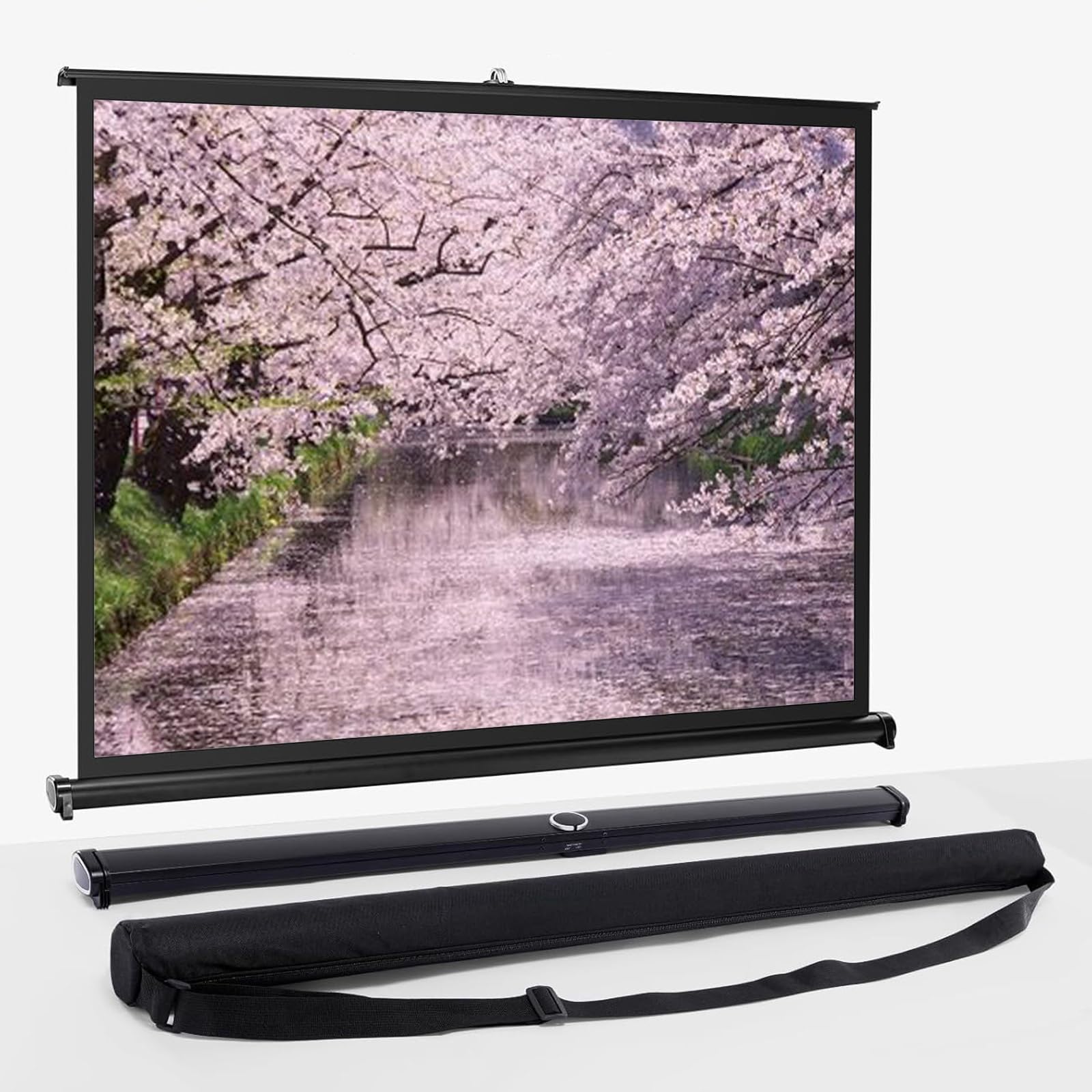 Schermo di proiezione 30/40/50 pollici Full HD 4K gigante, Schermo per Proiettore Avvolgibile Manuale, Facile da Arrotolare, Tela portatile per presentazione e proiettore home theater.(40in/16:9)