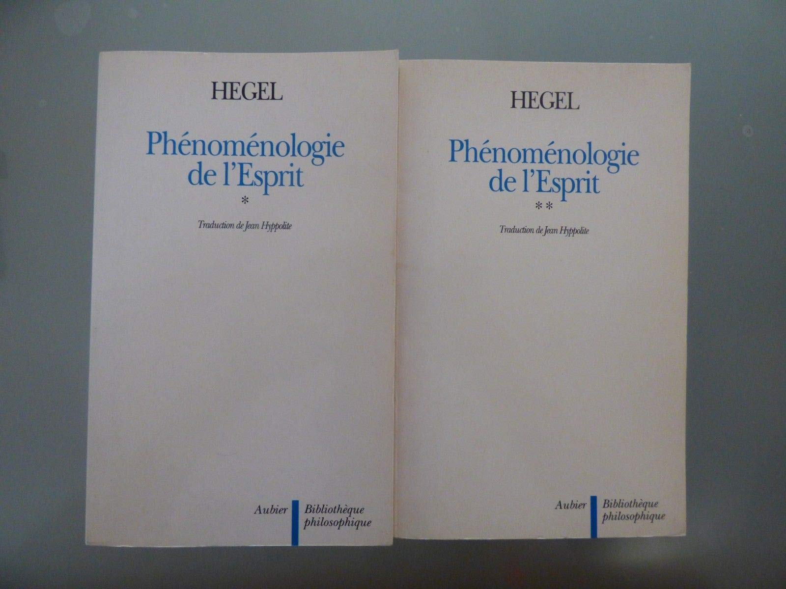 La phénoménologie de l'esprit - 2 volumes