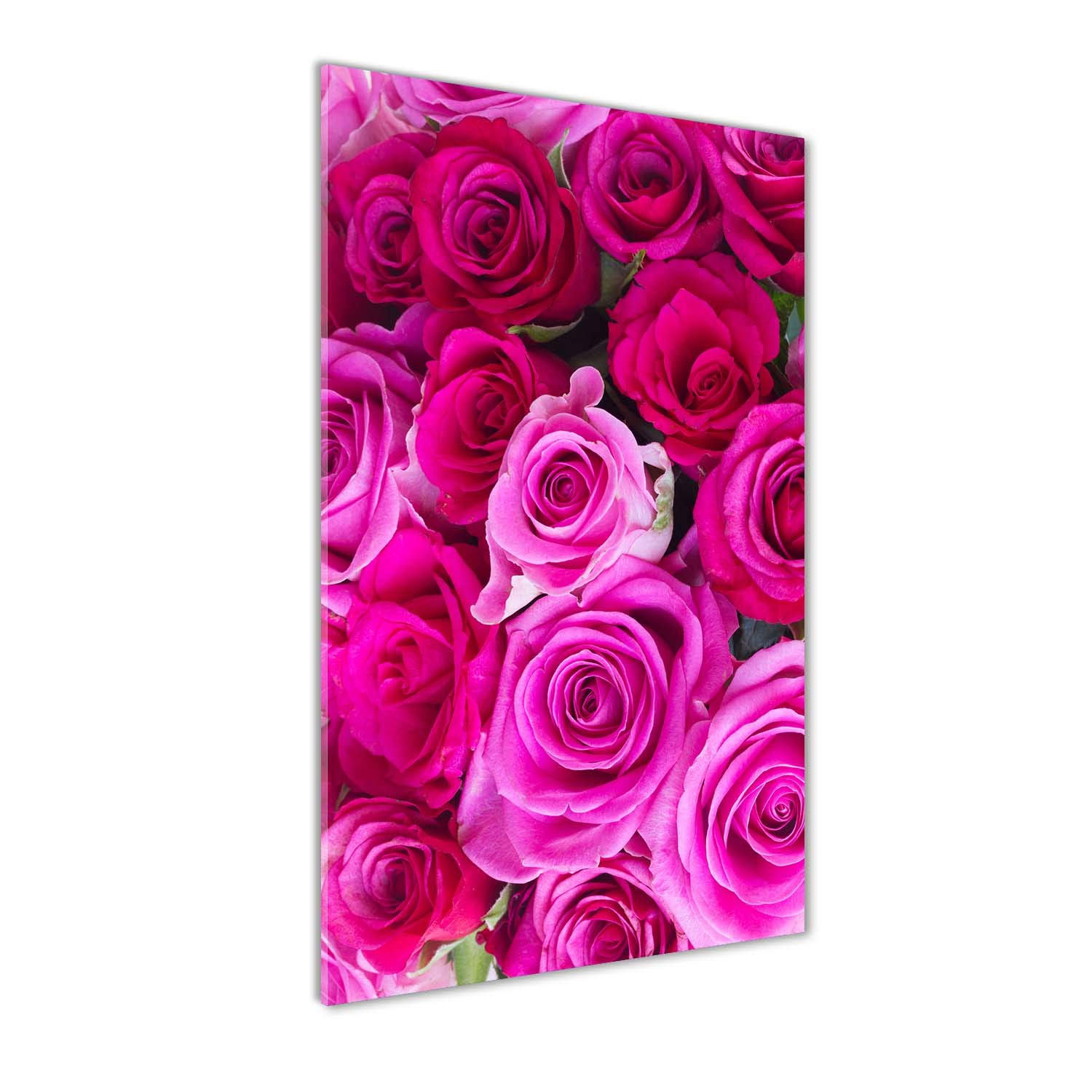Image decorative panoramique en impression sur verre Tulup aux details eclatants
