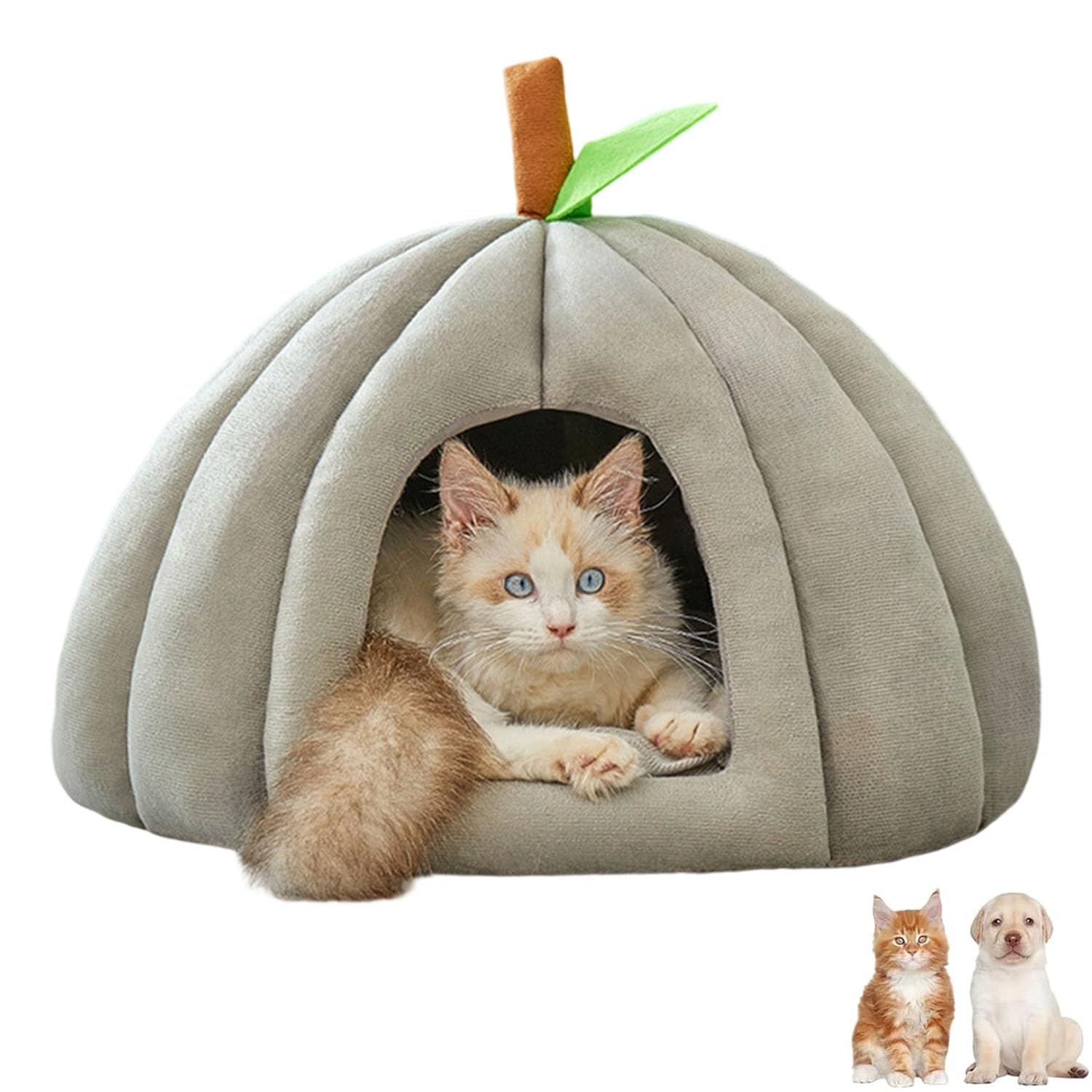 Pumpkin Cat Bed, Cute Pumpkin Shape Cat Cave, Halloween Cats Bed House with Removable Cushion, Soft Plush Pet Cave for Indoor,Kittens & Small Dogs (Light Gray, M)