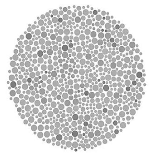 Color Blindness Test