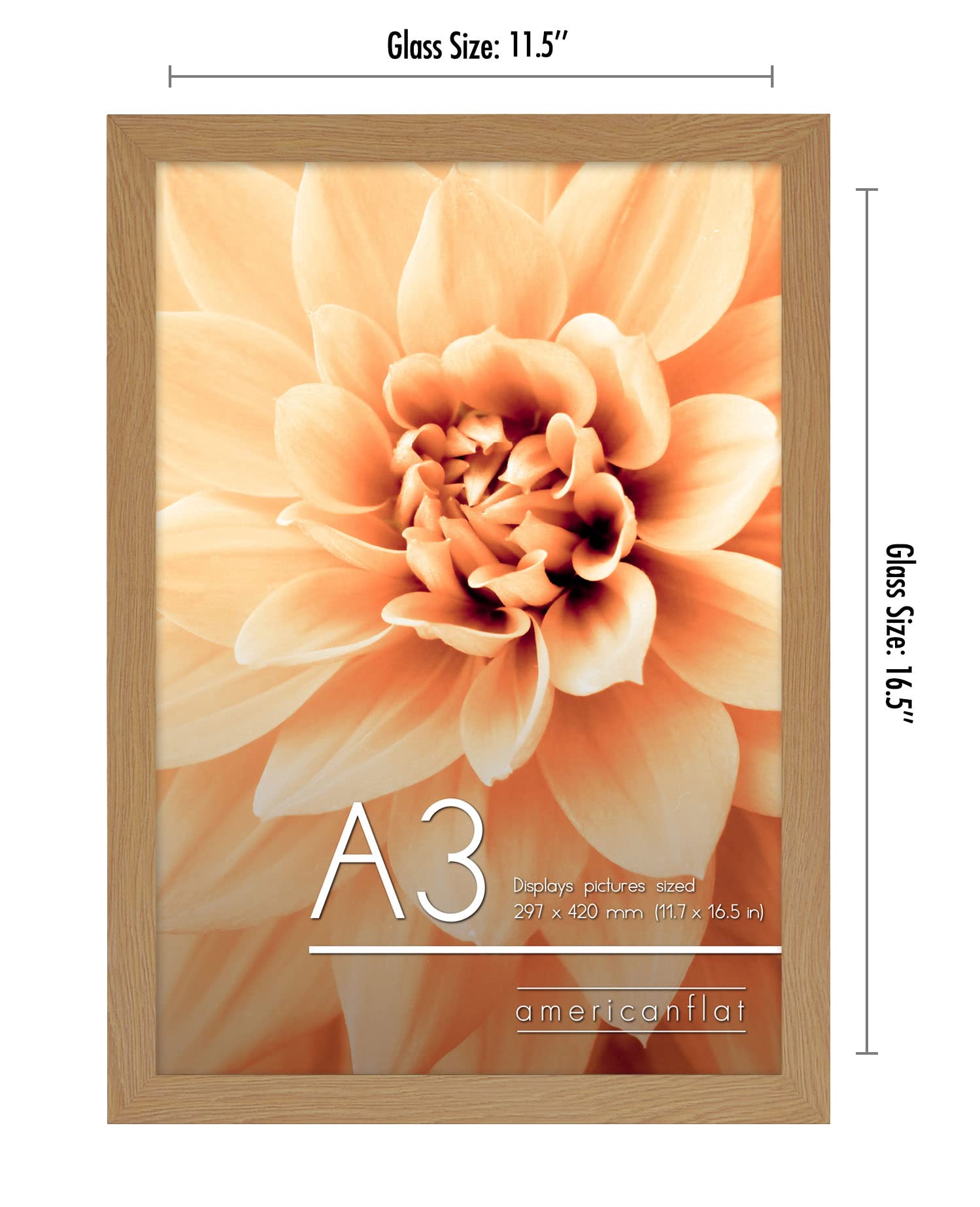 Americanflat A3 Picture Frame in Oak - Composite Wood with Shatter Resistant Glass - Horizontal and Vertical Formats for Wall - 11.7 x 16.5 in