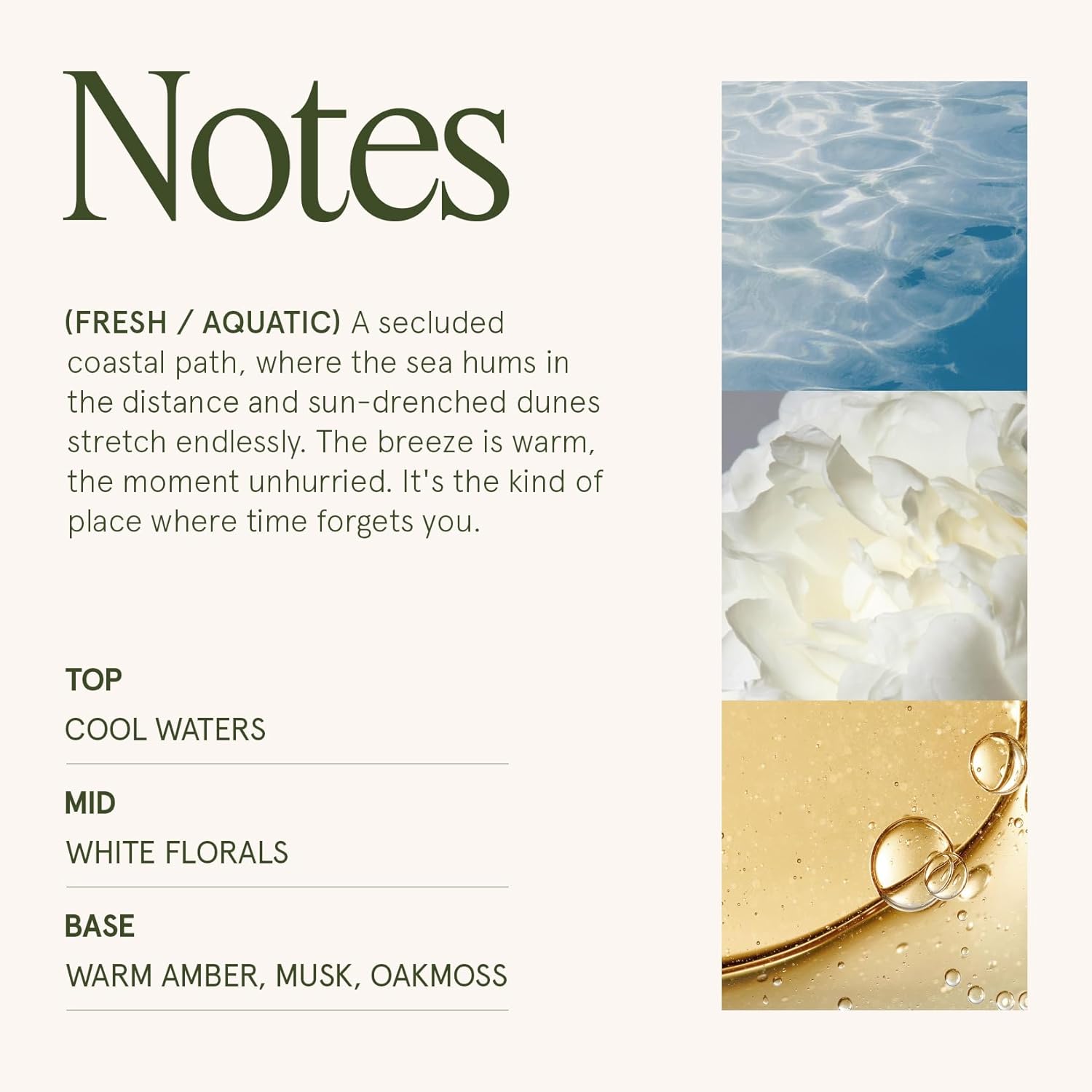 LA JOLIE MUSE Aegean Sea & Dune Candle –Cool Water, White Florals & Warm Amber | 19 oz Large Wooden Wick Candle | Natural Soy Wax | 90 Hours Clean Burn | Gift-Ready for Hosts & Gatherings - Image 4