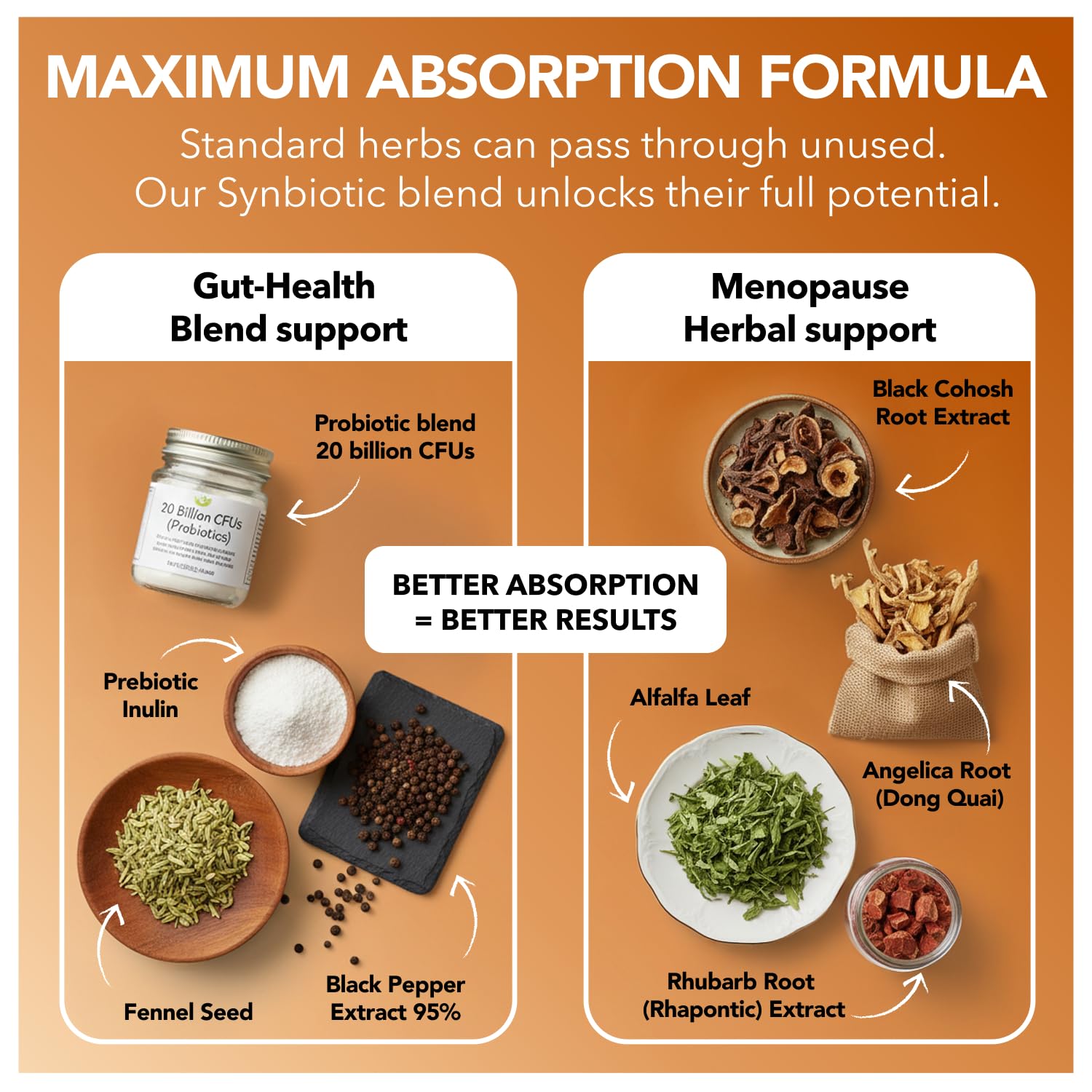 Menopause Support with Black Cohosh - Max Absorption Synbiotic Formula — Amazon image 4