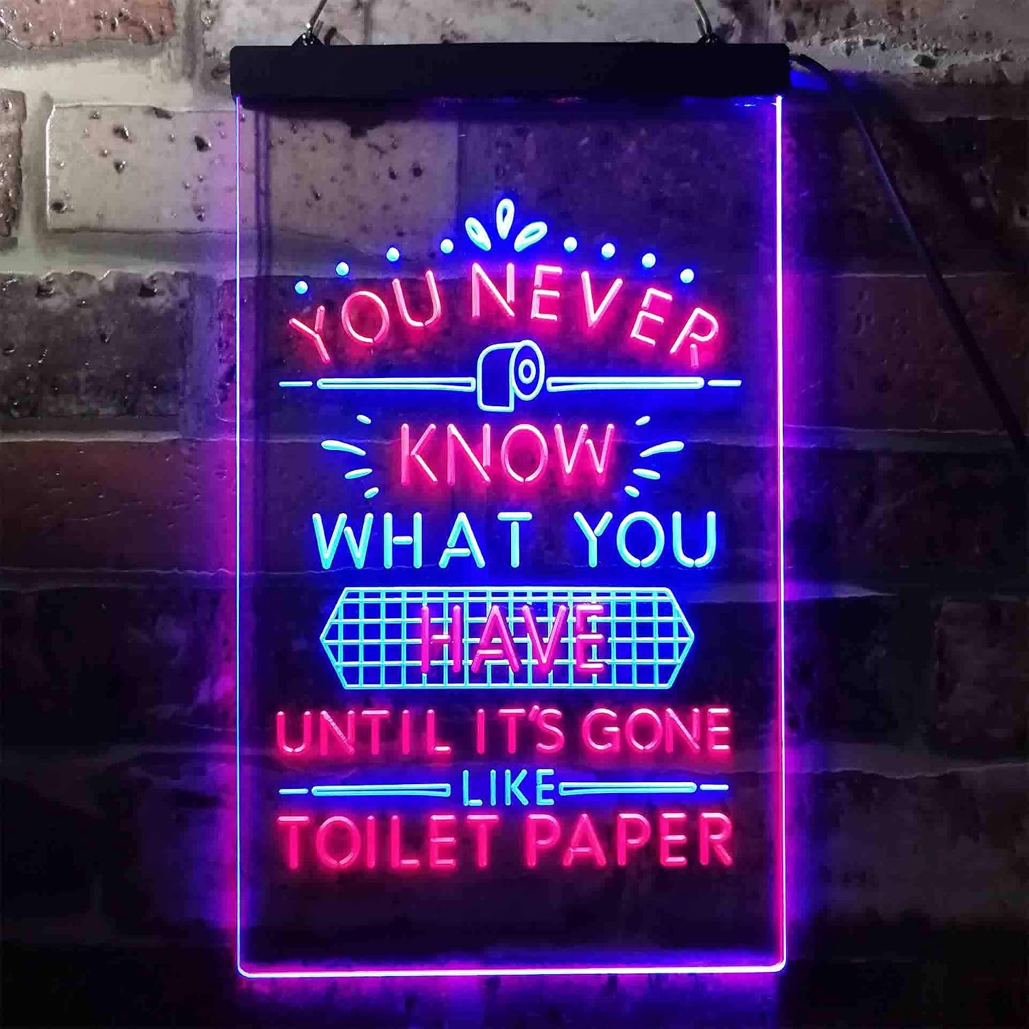ADVPRO Never Know What You Have Toilet Paper Dual Color LED Neon Sign Blue & Red 8.5" x 12" st6s23-i3409-br