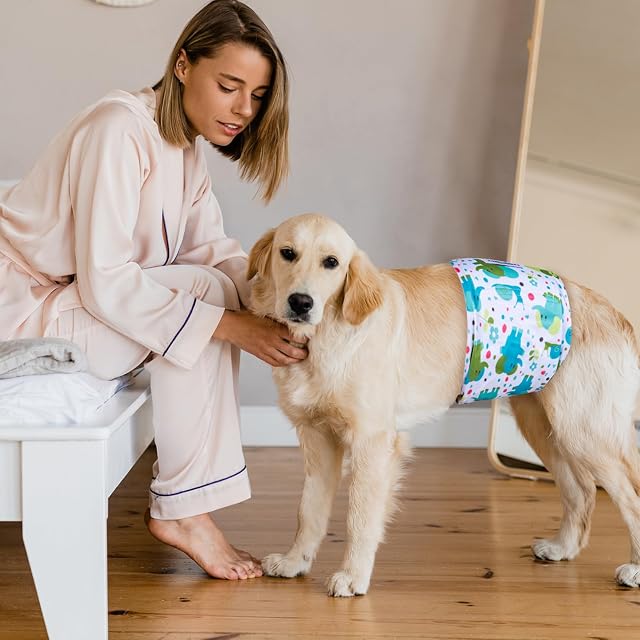 Foto 5 de 7 de MICOOYO Bandas Lavables para el Vientre para Perros Masculinos, Pañales Reutilizables