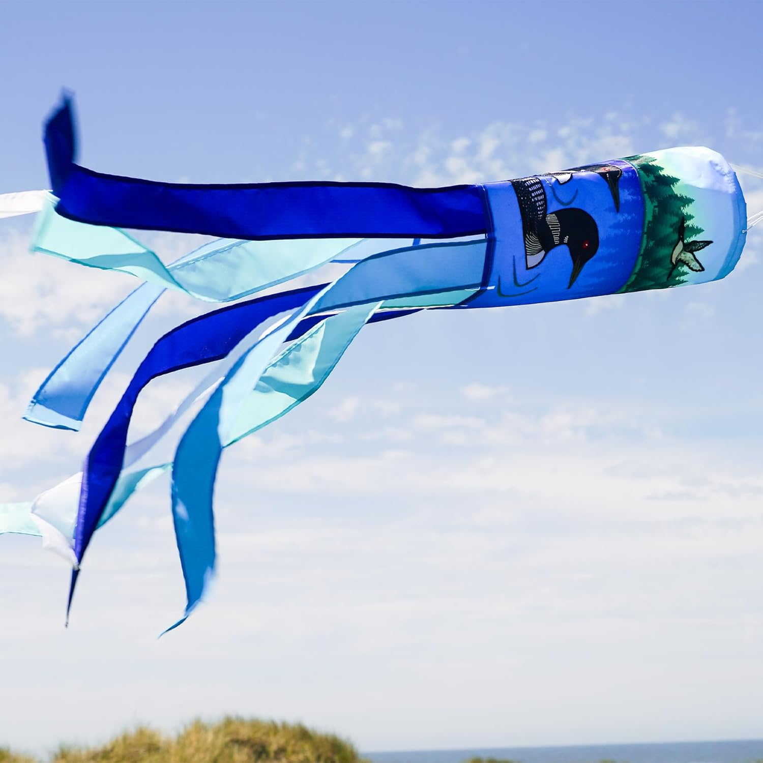 In the Breeze 4620 — 40-inch Pair of Loons Inspiration Windsock — Colorful Outdoor Decor for Yards, Gardens, Patios