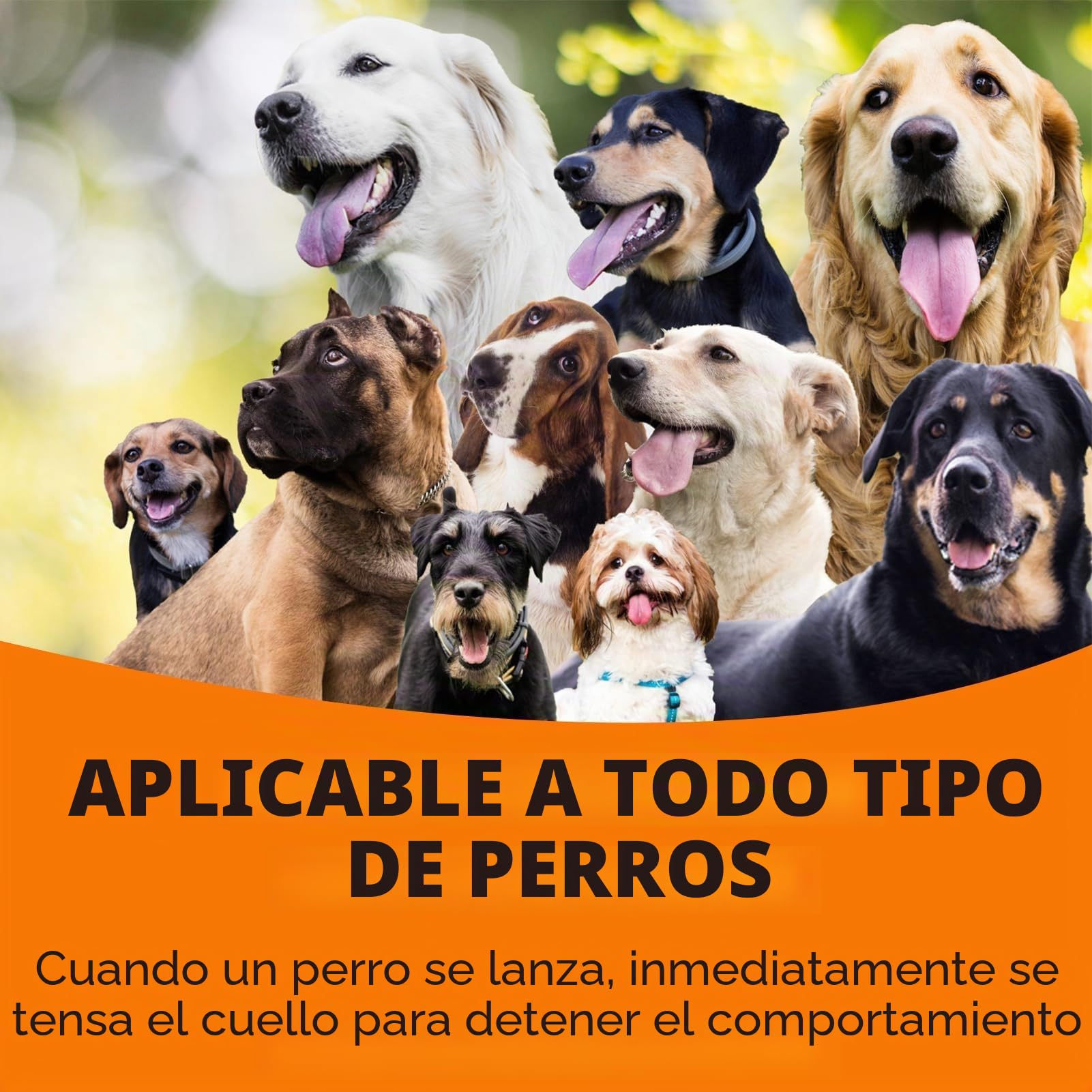 Collar Corredizo para Perros Correa con Mango Cómodo Collar Ajustable Correa Delgada para Perro Fuerte Resistente Anti-Tirones Anti-Asfixia Cuerda de Entrenamiento de Nailon para Exterior Cachorro