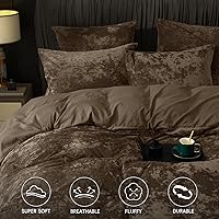 Vista 87 de PHF - Juego de funda de edredón de terciopelo auténtico tamaño individual, juego de funda de edredón ultra suave y transpirable de 2 piezas