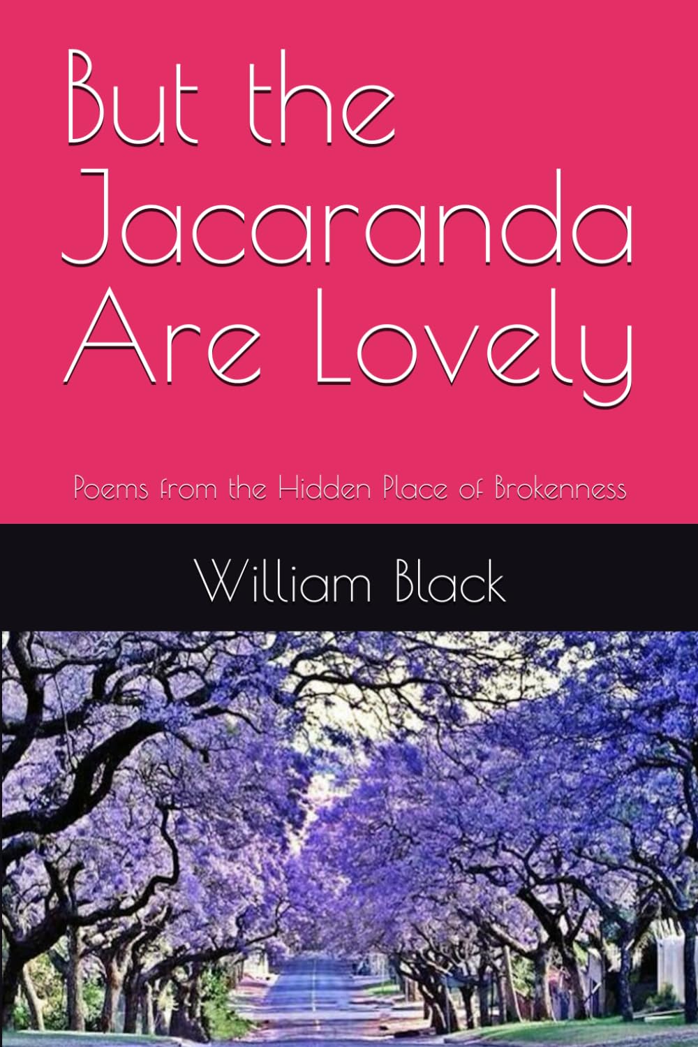 But the Jacaranda Are Lovely: Poems from the Hidden Place of Brokenness