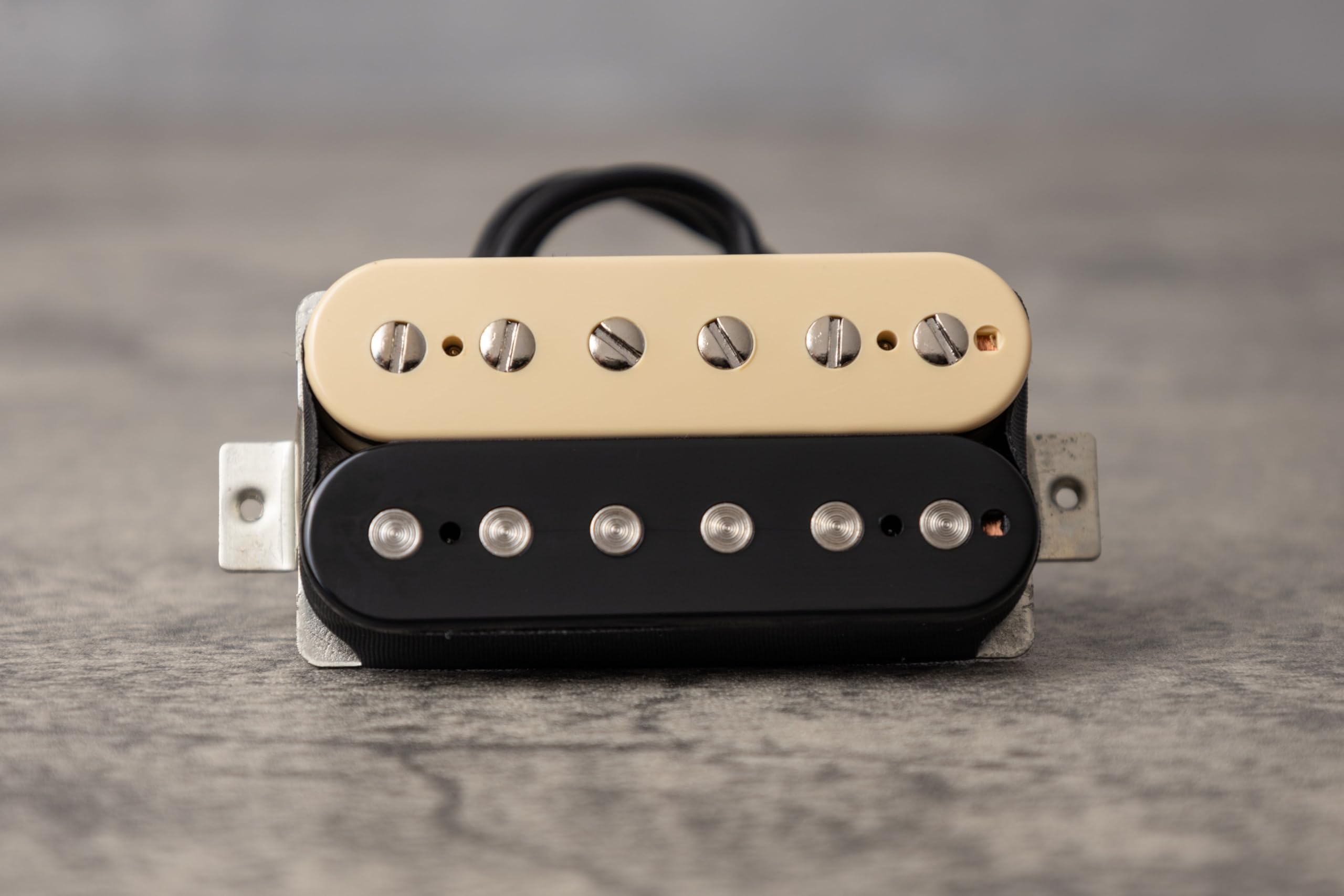 Tonerider Alnico 4 Classic COLLO Zebra