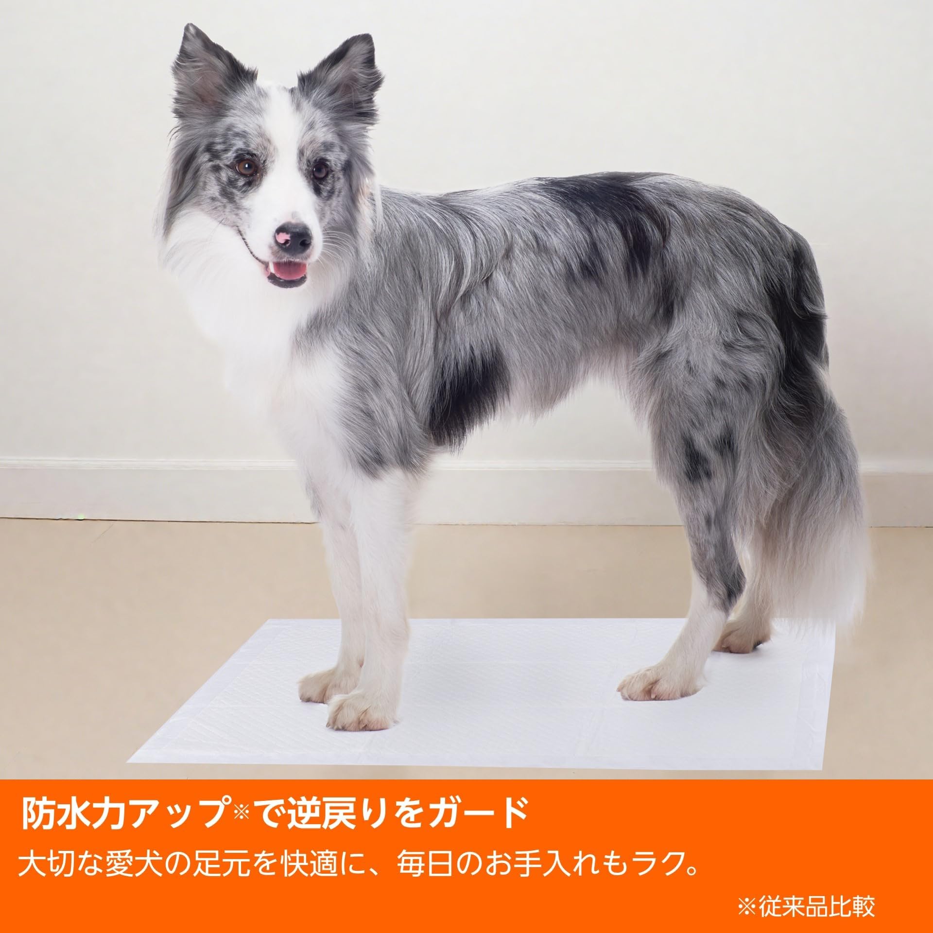 Amazon | Amazonベーシック ペットシーツ 薄型 ワイド 1回